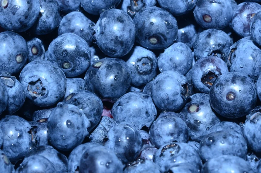 Blueberry