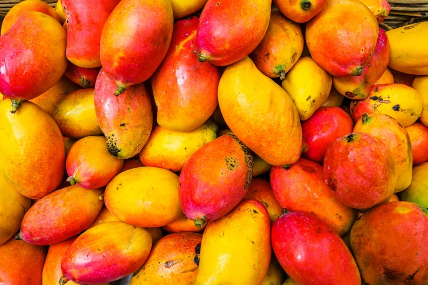 Mango