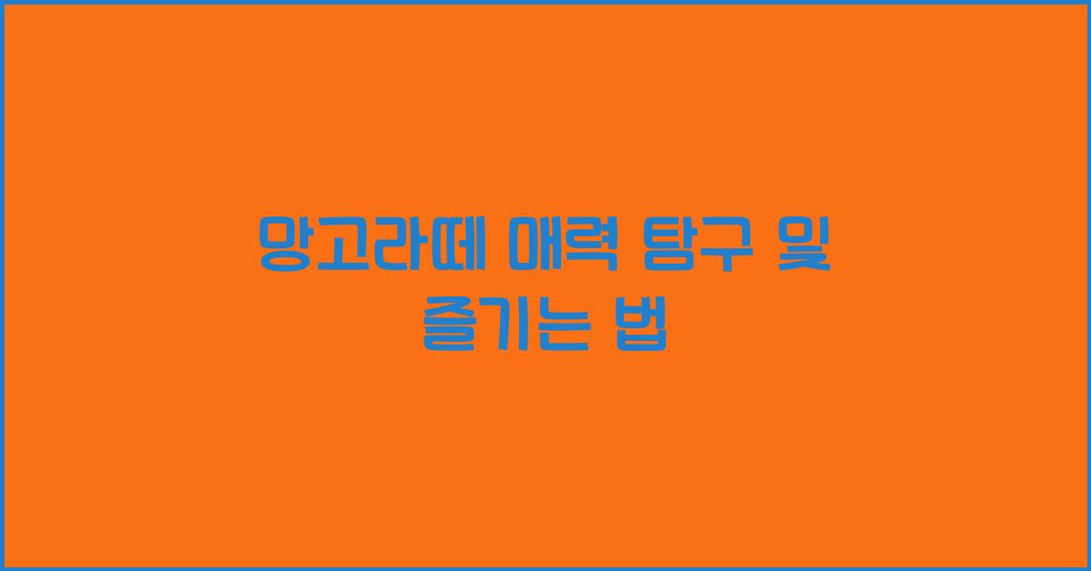망고라떼 매력 탐구 및 즐기는 법